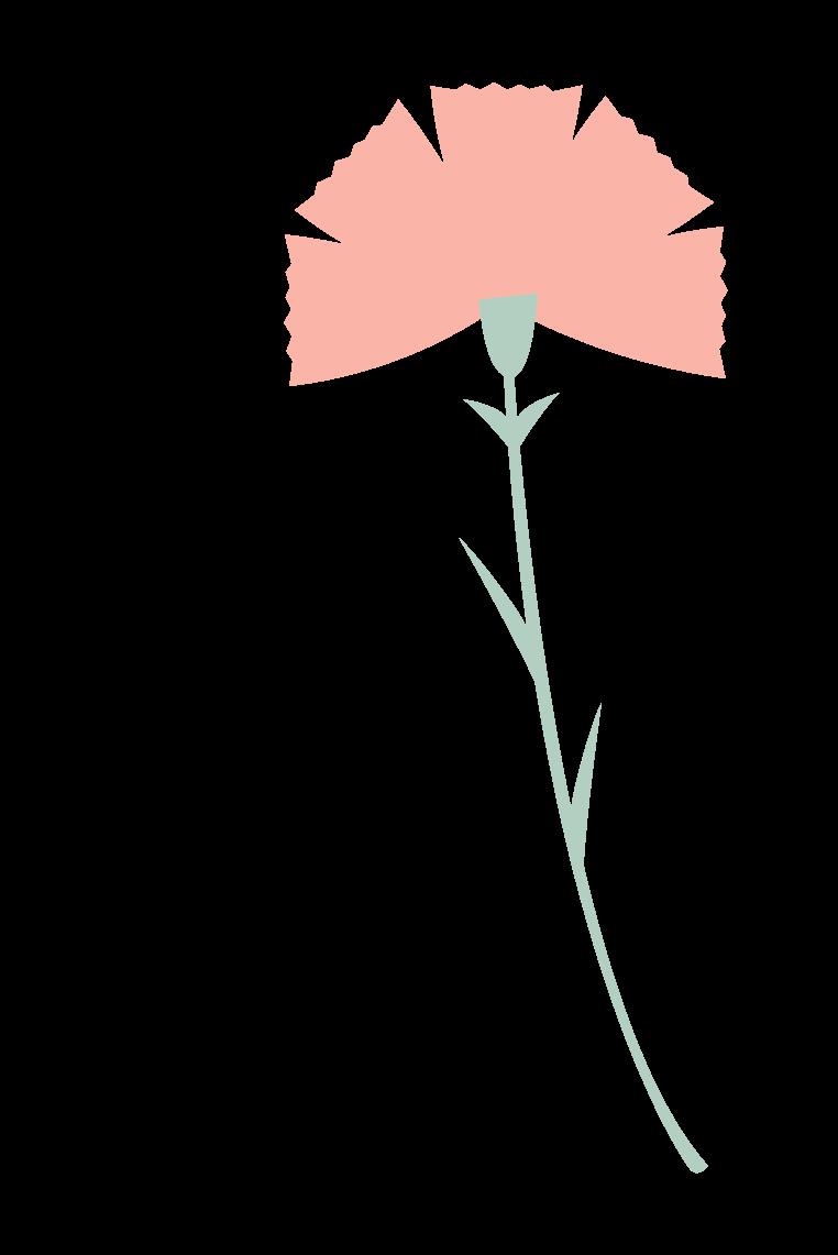 DƬ